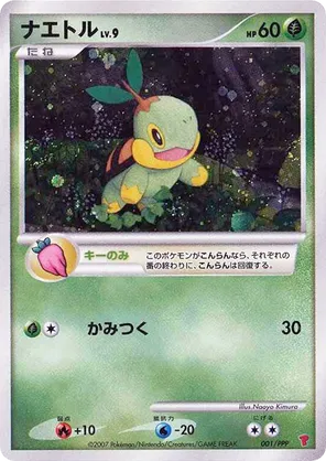 Turtwig