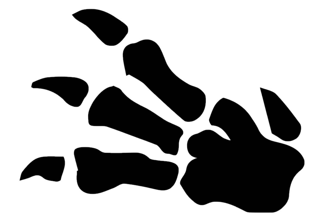 Mystery of the Fossils symbol